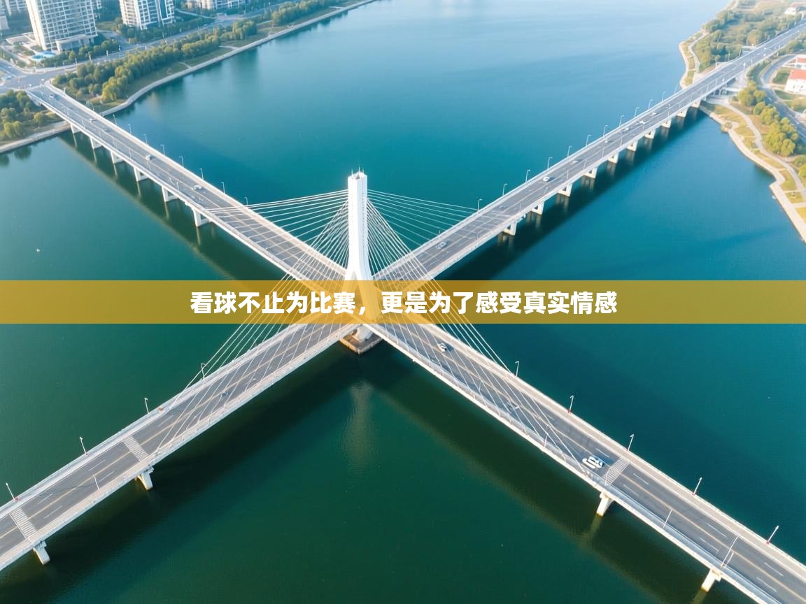 看球不止为比赛,更是为了感受真实情感 第1张