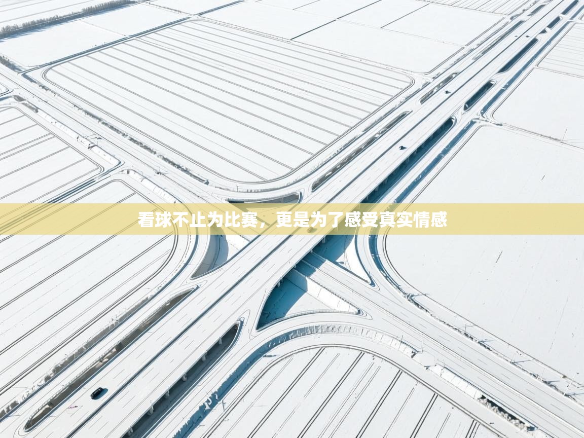 看球不止为比赛,更是为了感受真实情感 第2张
